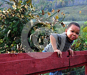 Boy on Fence