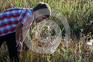 Boy on the field looking at the spider`s web
