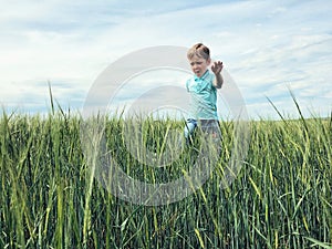 Boy on the field of rye.