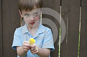 Boy with Flower Against Fence