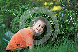 Boy at flowers outdoors