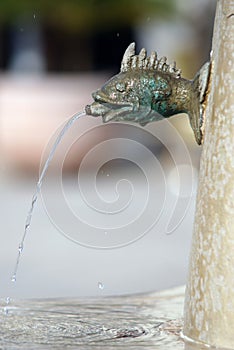 Boy fountain with a fish head in Rovinj,Croatia