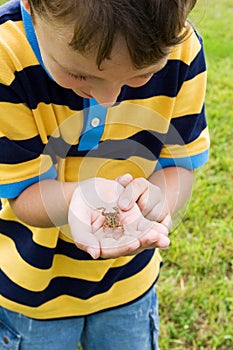 Boy with a frog