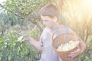 Boy with full herbs flower basket