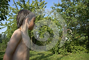 Boy in garden