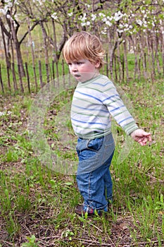 Boy at the garden