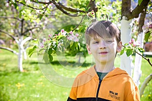 Boy in the garden near blooming apple trees on spring