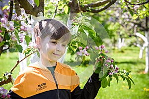 Boy in the garden near blooming apple trees on spring