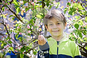 Boy in the garden near blooming apple trees on spring