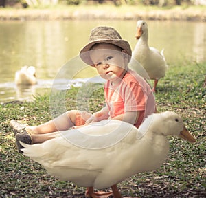 Boy and geese