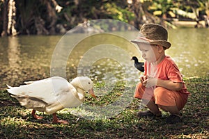 Boy and geese