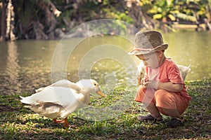 Boy and geese