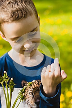 Boy gently holding ladybug