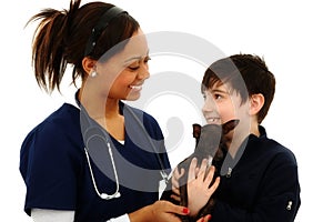 Boy Gets Pet Chihuahua Back From Veterinarian photo