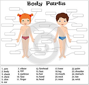 Boy and girl. Body parts, anatomy