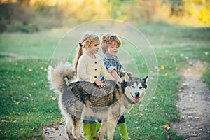 Boy and girl brother and sister traveling away from home. Camping tourism and vacation concept. Kids with dog walking