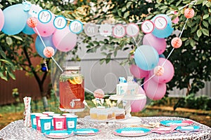 Boy or girl cake and different treats for baby shower party on table outdoors photo