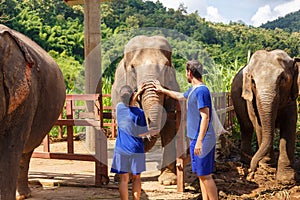 A boy and a girl caress an elephant at sanctuary in Chiang Mai T