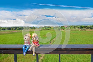 boy and girl cartoons dolly on wooden seat with the green paddy rice field, the beautiful sky cloud,