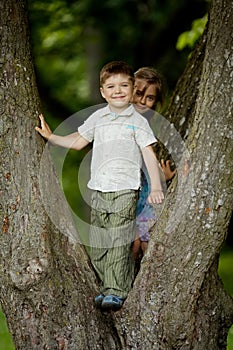 Boy and girl climb big tree