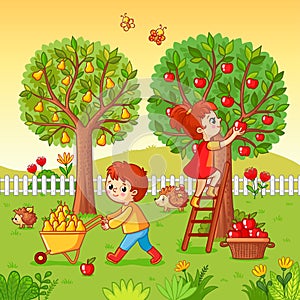 Boy and girl collect fruit harvest.