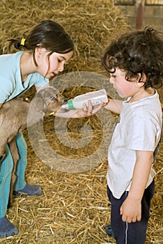 Boy and girl feeding bay goat