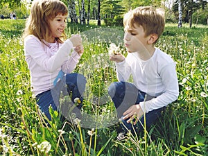 Boy and girl on the grass. Cute children pick meadow flowers and blow on dandelion seeds