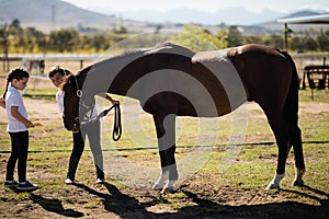 Boy and girl holding the reins and looking at the horse