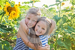 Boy and girl hugging among sunflower field