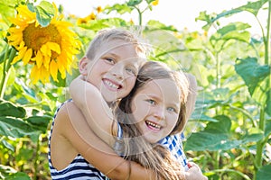 Boy and girl hugging among sunflower field