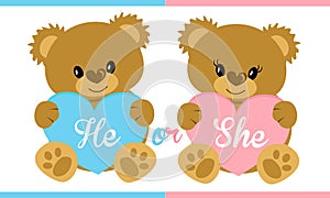 Cute vector character illustration. Teddy bear holding blue and pink heart. Gender reveal party. photo
