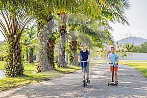 Boy and girl on kick scooters in park. Kids learn to skate roller board. Little boy skating on sunny summer day. Outdoor