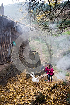 Boy and Girl Playing with Geese