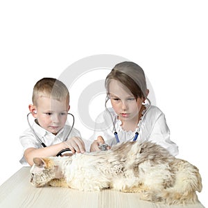 Boy and girl playing in vets focus on cat