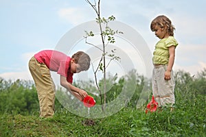 Boy and girl pour on seedling of tree photo