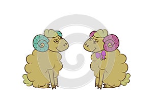 Boy and girl sheep in love.
