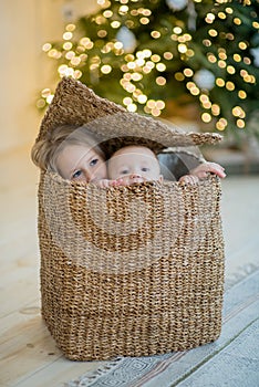 Boy and girl sit in the box near crismas tree