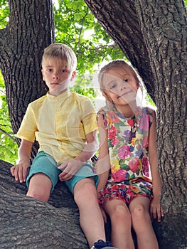 boy and a girl are sitting on a branching tree