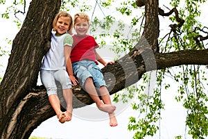 Boy and girl sitting on a tree