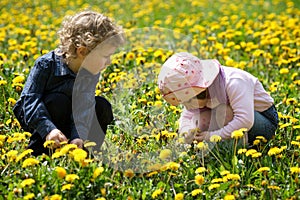 Boy and girl in summer flowers field