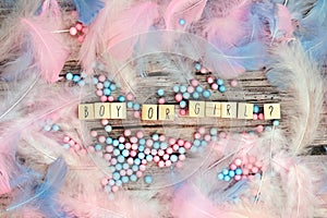 Boy or Girl text surrounded with pastel colored feathers, Gender reveal gathering party concept. Baby announcement. Flat lay,text photo