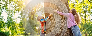 Boy and girl touching tree trunk in the natural park.