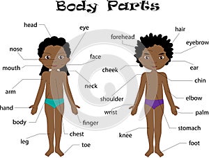 Boy and girl unclothed. Body parts, anatomy