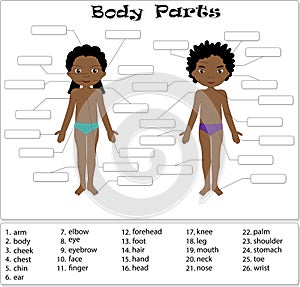 Boy and girl unclothed. Body parts, anatomy