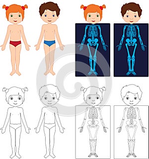 Boy and girl unclothed. Kids bodies by X-ray. Educational coloring book for kids