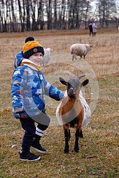 A boy and a goat on a farm. Kid and livestock