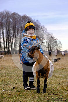 A boy and a goat on a farm. Kid and livestock