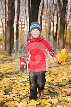 Boy goes for a walk in park in autumn