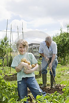 Boy With Grandfather Gardening In Allotment