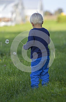 Boy in the grass